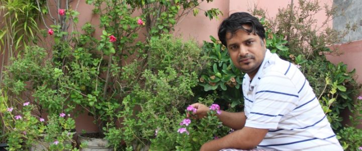 My Terrace Garden in East Delhi – Share your Photographs greeny