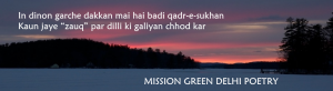 mission green delhi poetry