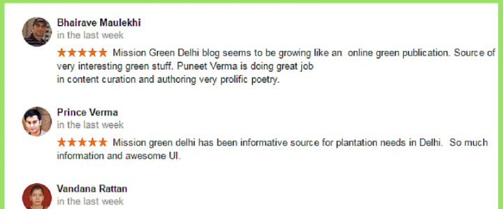 Google reviews on mission green delhi
