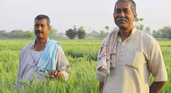 Ethanol Blended Petrol (EBP) Programme ethanol program