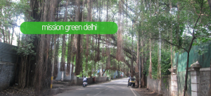 mission green delhi