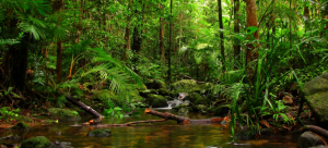 Align Environmetal Responsibility with Technology