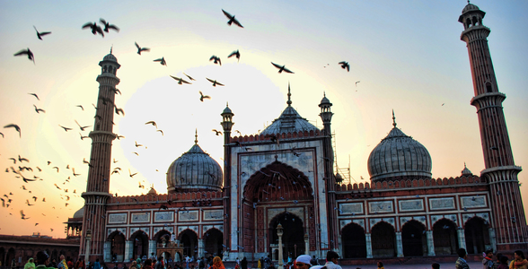 Mission Green Delhi mentioned in Times Kuwait time kuwait greendelhi