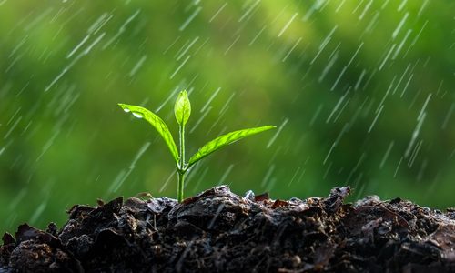 दिल्ली की बारिश Rain