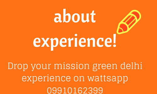 experience