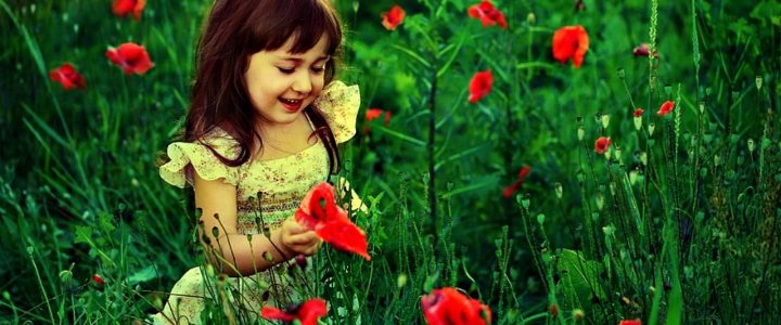 sweet little girl in garden other