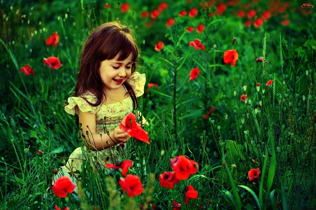 sweet little girl in garden other