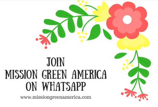 Mission Green America
