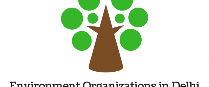 Environment Organizations in Delhi