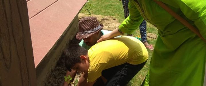 Cultural Committee in Association with Horticulture Celebrated Environment Day in Noida WhatsApp Image    at