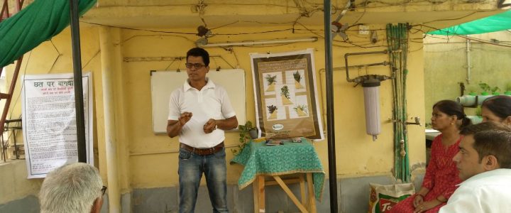 Soil Less Terrace Farming Training Sessions by Environmentalist Pravin Mishra WhatsApp Image    at
