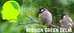Mission Green Delhi platform