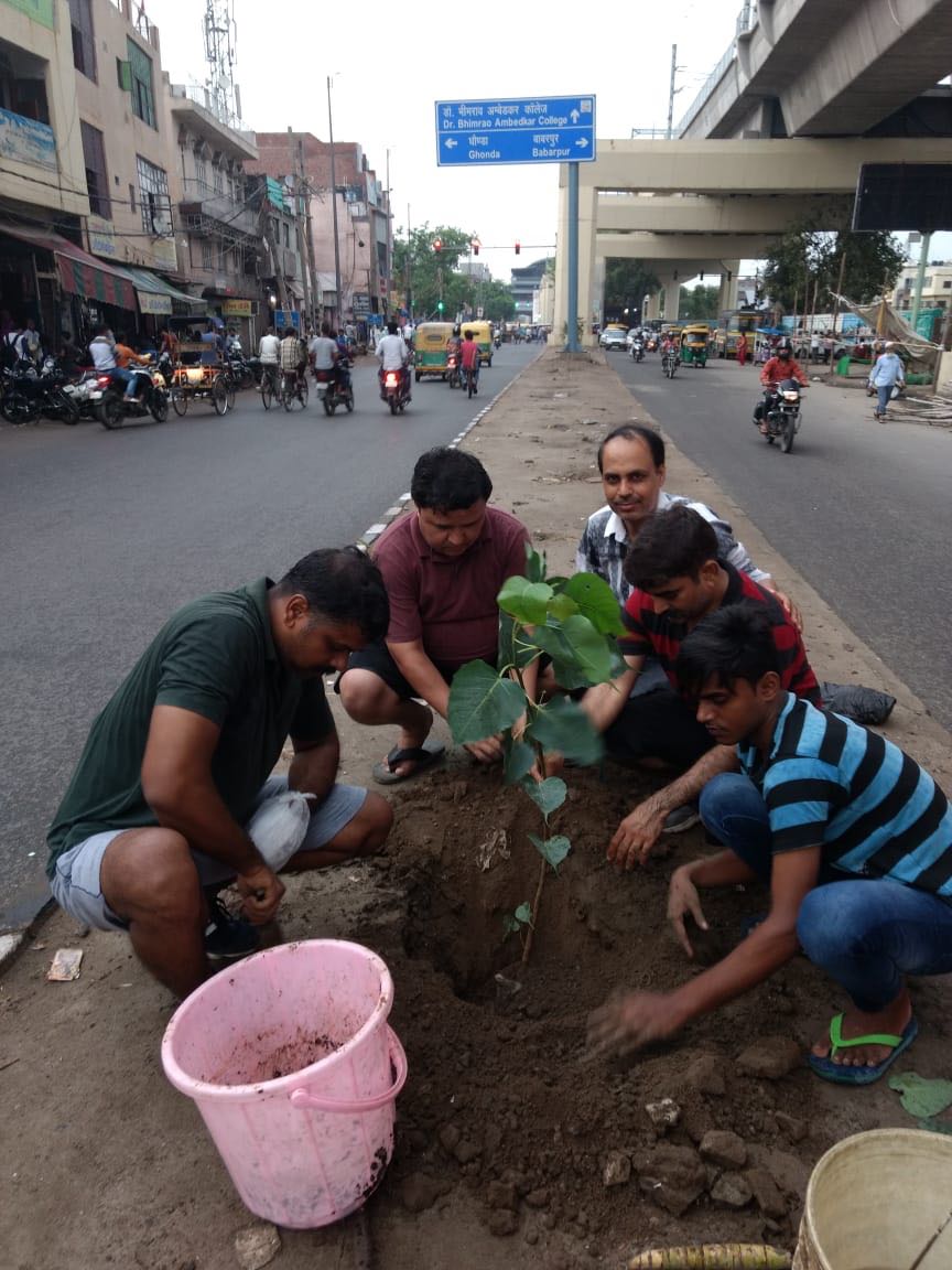 Plantation Drive in Shahdara, East Delhi