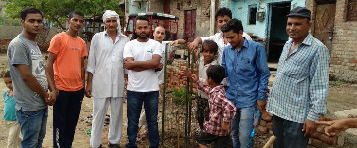 Stay Green Planted 10 Trees in D-Block Park, Bawana Stay Green Planted 10 Trees in D-Block Park, Bawana