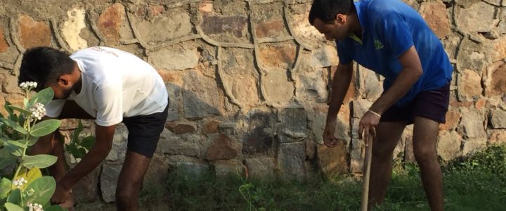 Plantation Drive at Burari Shiv Temple Complex Plantation Drive at Burari Shiv Temple Complex