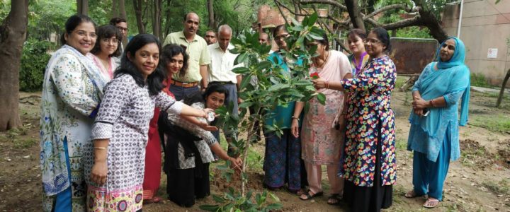 Tree Plantation at NSIT Dwarka Tree Plantation at NSIT Dwarka
