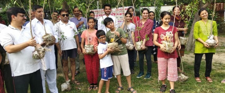 Plantation at DDA Park Sector-11 Rohini Plantation at DDA Park Sector-11 Rohini