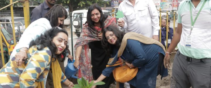 Plantation Drive by Anandram Jaipuria School in association with NurturePlanet