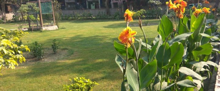 Transformation of Trilokpuri Park Transformation of Trilokpuri Park