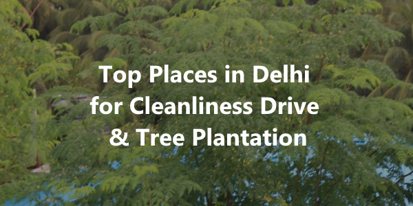 Top Places in Delhi for Cleanliness Drive & Tree Plantation