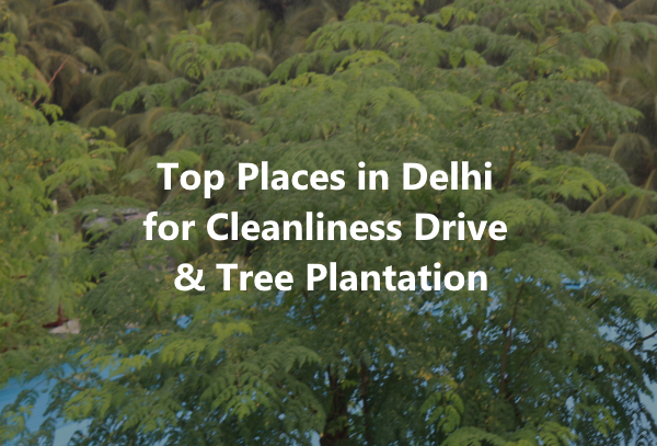 Top Places in Delhi for Cleanliness Drive & Tree Plantation