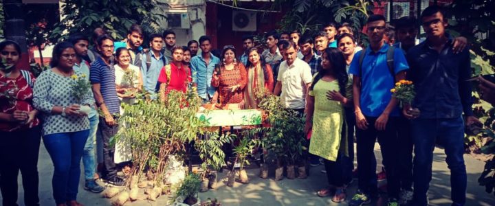 Plantation Drive at Rajdhani College, Delhi University