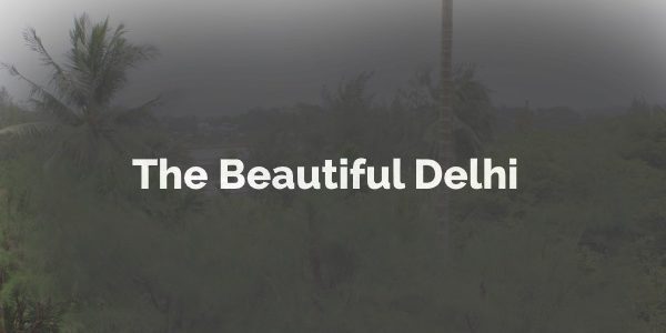 The Beautiful Delhi of Winters, Thanks Everyone