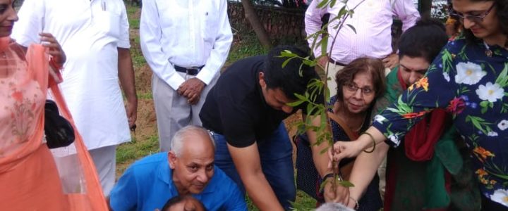 Plantation in Masoodpur, Vasant Kunj Park