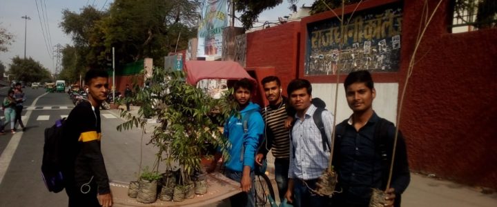 Youth Working for Environment at Rajdhani College, University of Delhi
