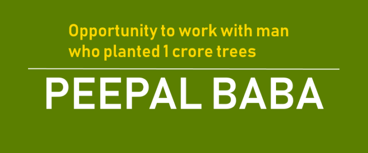 Opportunity to Work with Peepal Baba