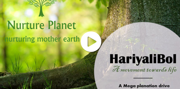 HariyaliBol, A Megaplantation Initiative by NuturePlanet