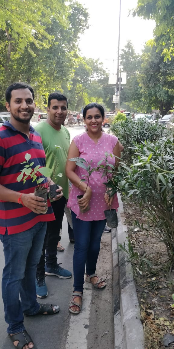 Divider Plantation in Shiv Nagar, West Delhi Mission Green Delhi