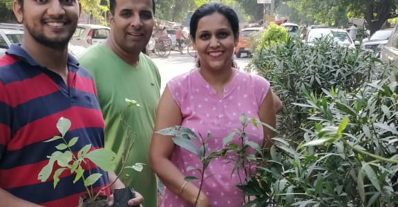 Divider Plantation in Shiv Nagar, West Delhi Divider Plantation in Shiv Nagar, West Delhi