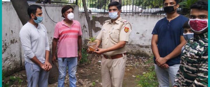 Sapling Plantation in Vivek Vihar by Dharmagya India