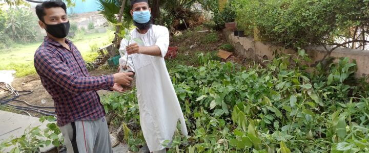 Sapling Distribution Drive by Meer Vihar Residents
