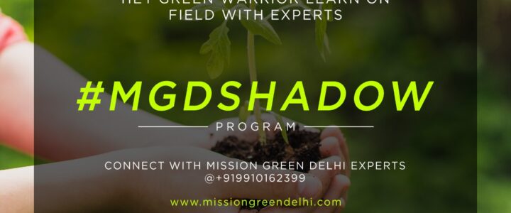 Launching #MGDShadow Program