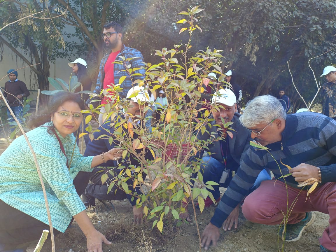 Miyawaki Afforestation at Sector 1, Dwarka by Rise Foundation