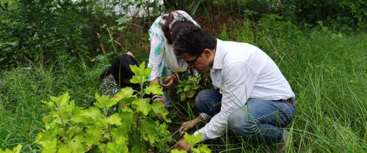 Pravin Mishra Plants Hopes in Delhi on August 15th to Strengthen Urban Bio-Diversity