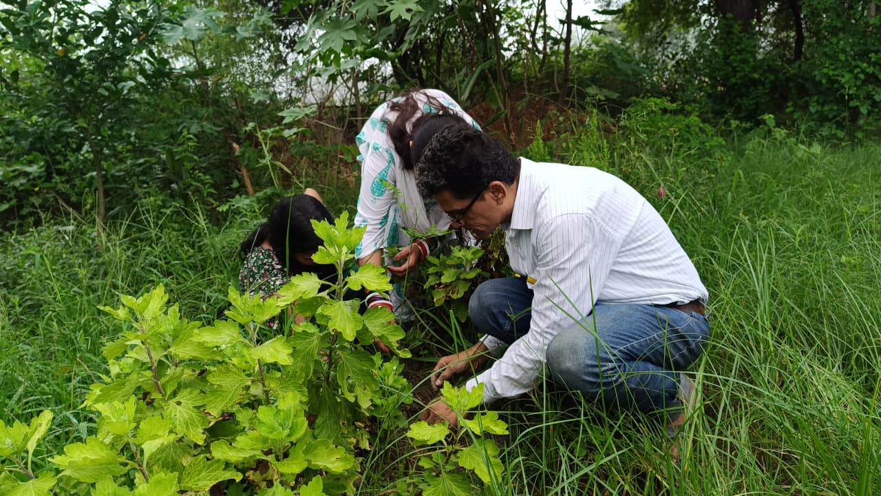 Pravin Mishra Plants Hopes in Delhi on August 15th to Strengthen Urban Bio-Diversity